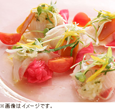 料理イメージ